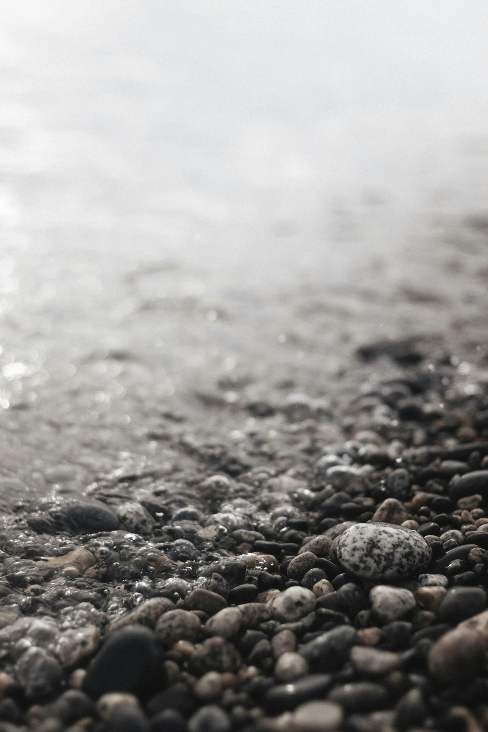 an image of a stone path with some water in the background