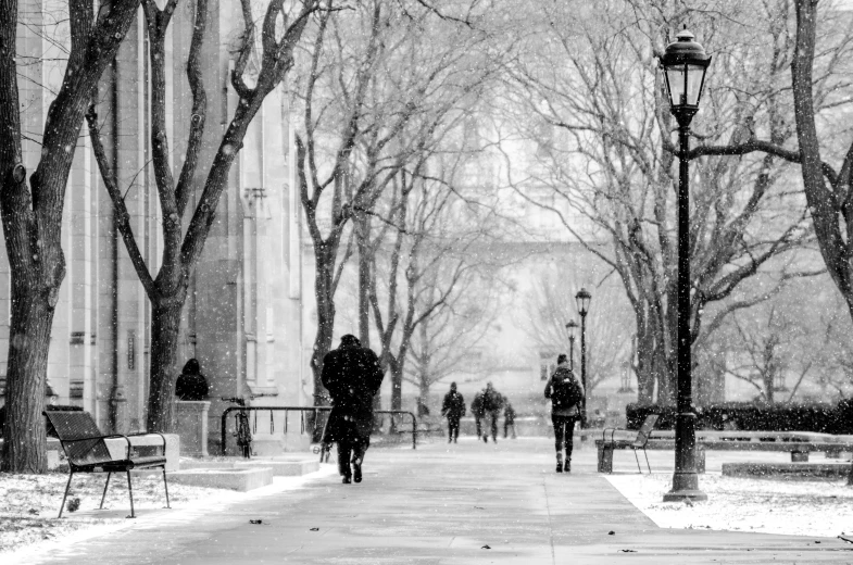 people walking down an icy, sidewalk in a park