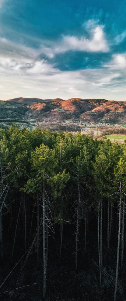 the view of mountains and trees is seen from atop