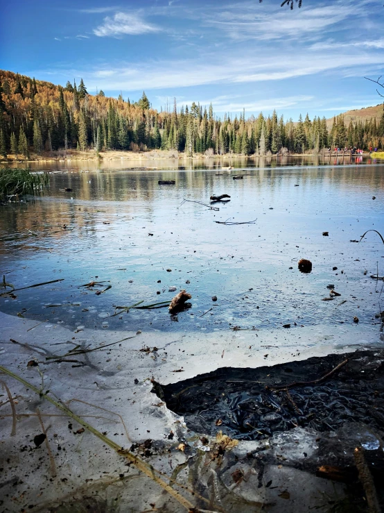 a lake with rocks, water, and trees around it