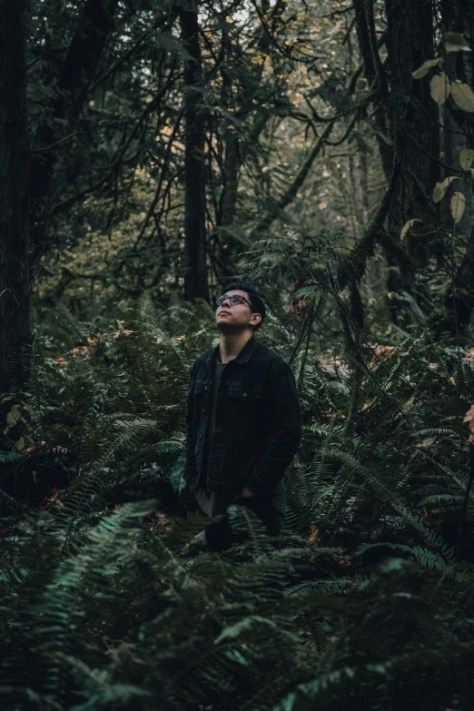 a man looking up in the woods and plants