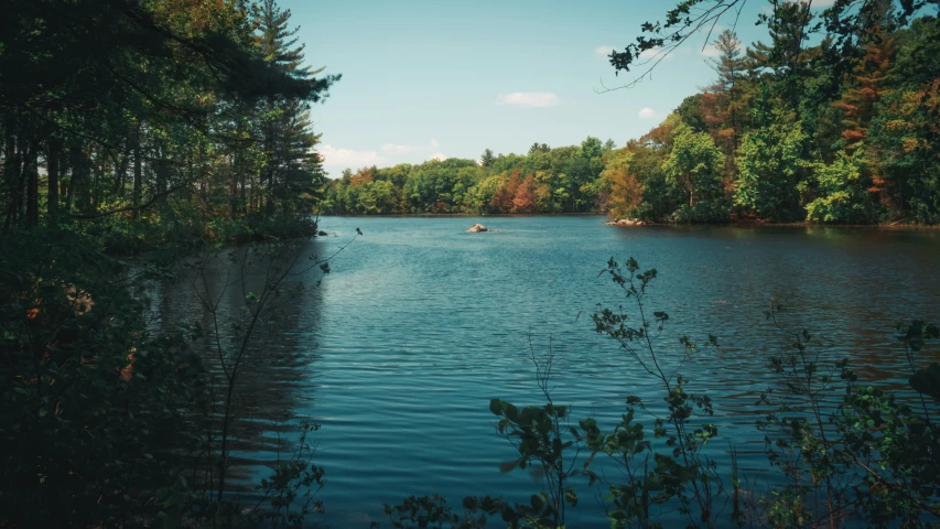 there is a boat on the river and trees around