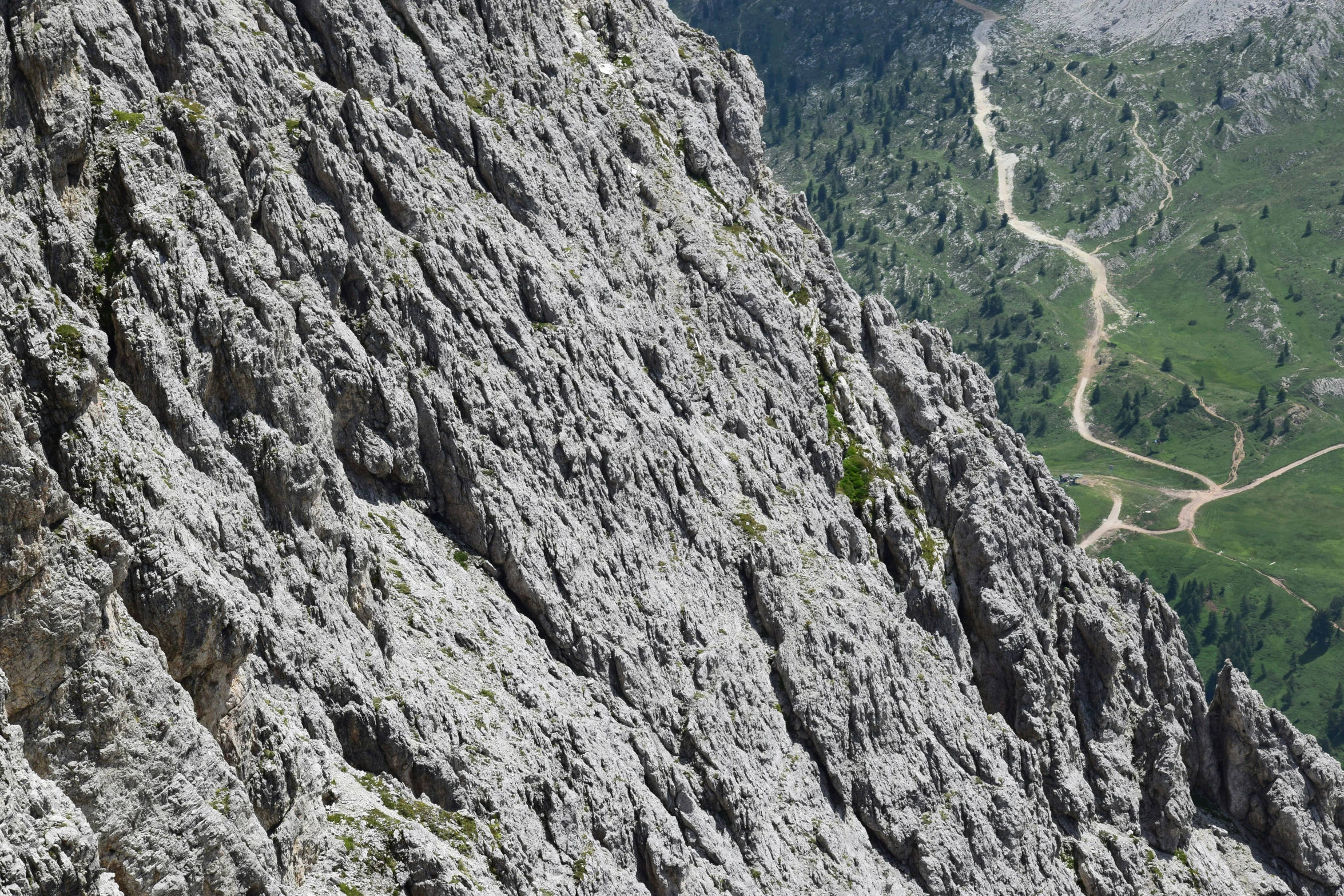 a winding mountain trail meanders into the distance