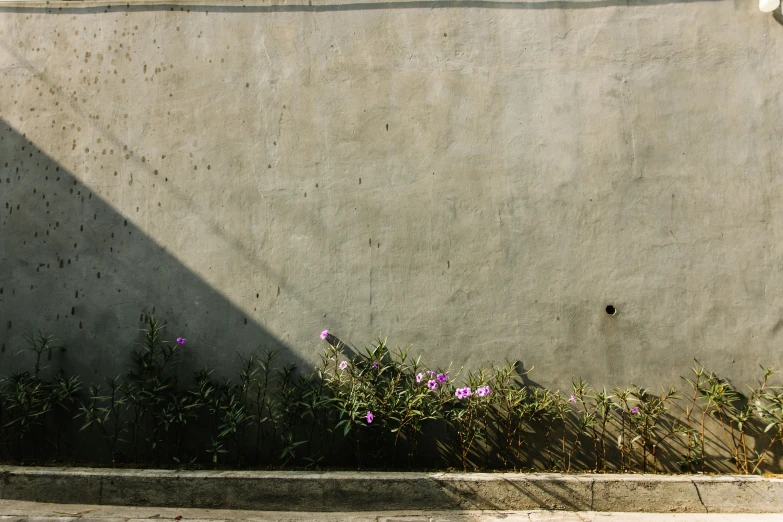 a vase with wild flowers beside a cement wall