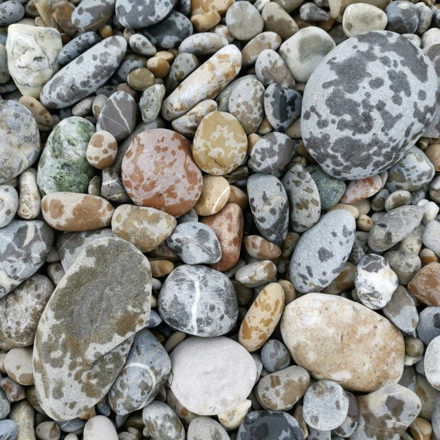 the rocks are covered with very tiny patches of lichen