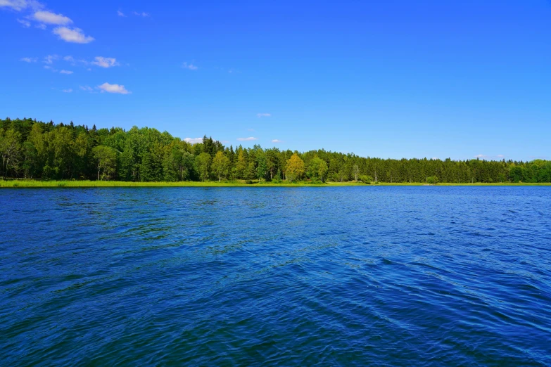 the blue water of a lake with a wooded area behind it