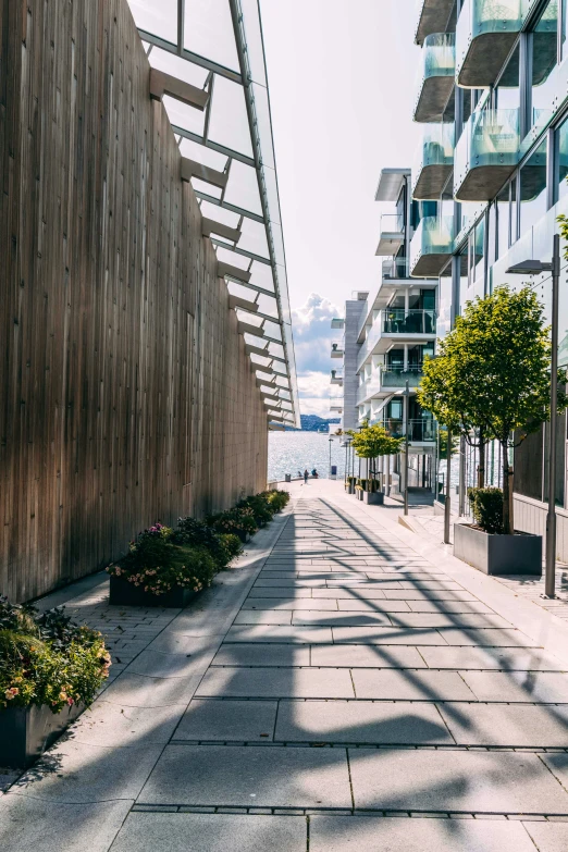 a long s of a paved walkway next to building