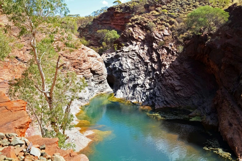 a river is flowing out from a small canyon