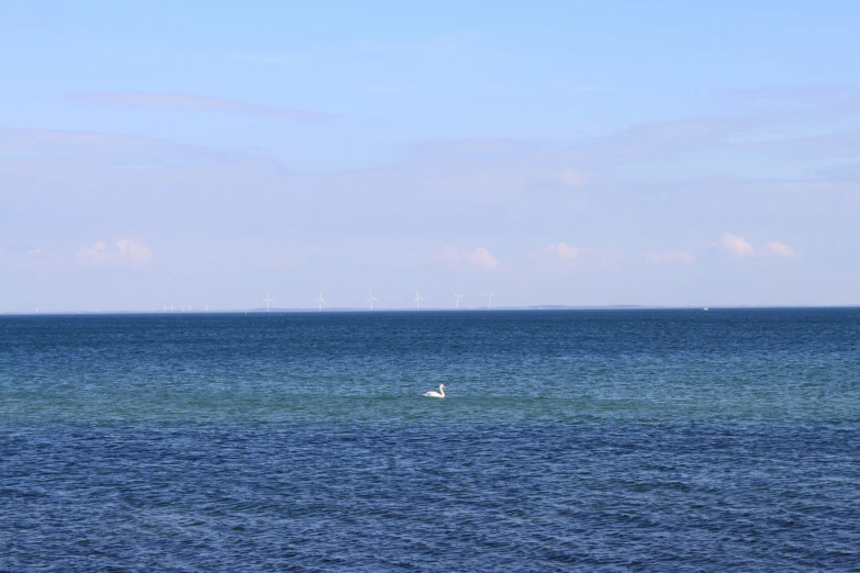 two people floating on surfboards in a large open ocean