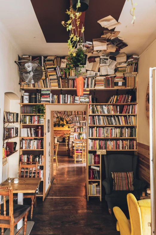 the long narrow bookshelf holds many books