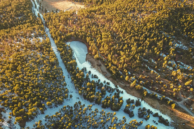 an aerial view of some snow covered trees and a river