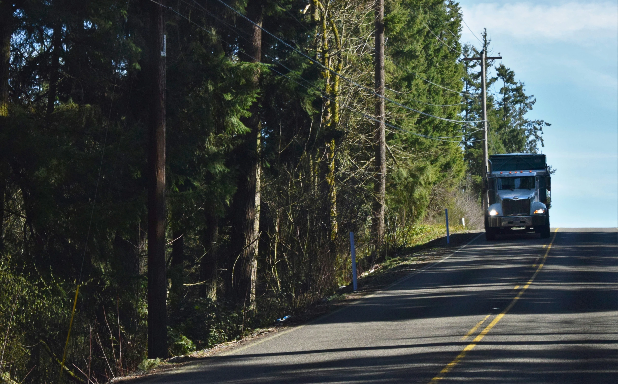 a truck on the road with many trees