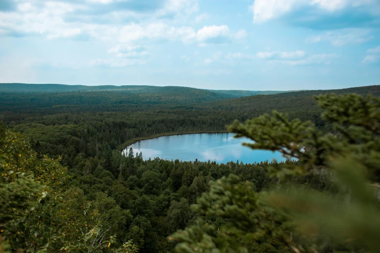 a lake surrounded by lots of trees with water