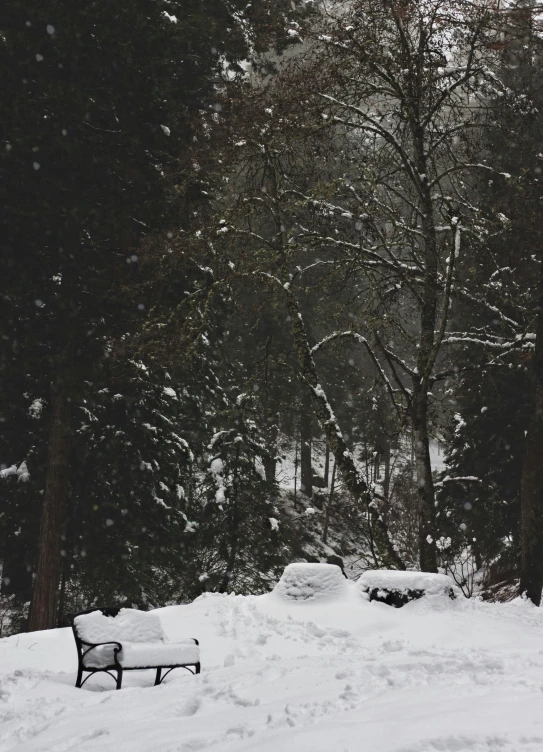 a snow covered bench sitting on top of a snow covered forest