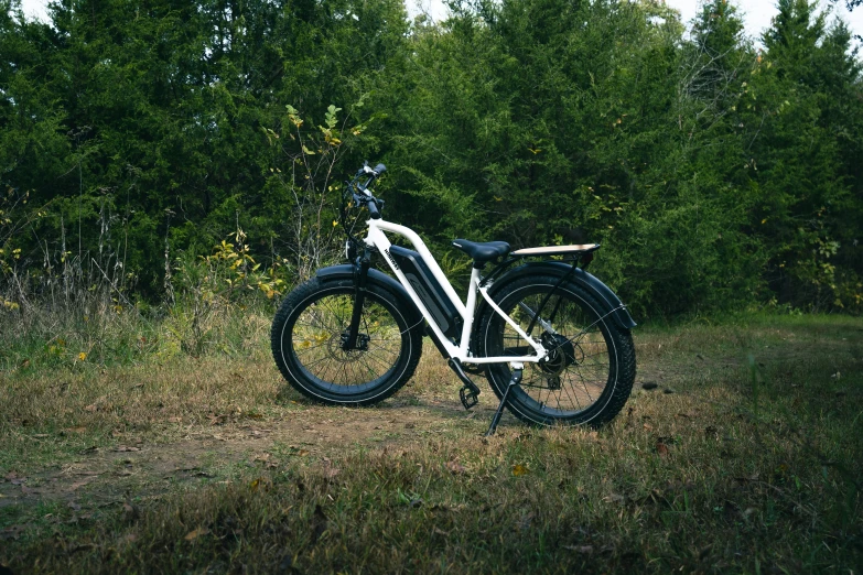 an electric bicycle that is leaning against some trees