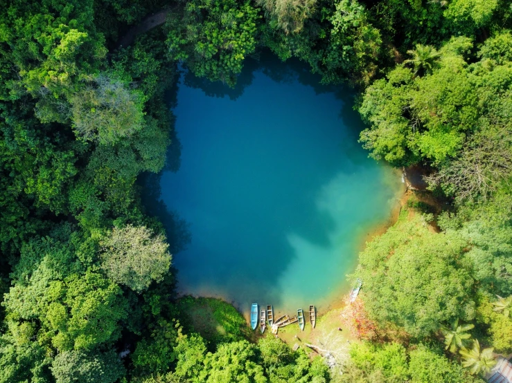 a lake surrounded by green trees with a blue pool