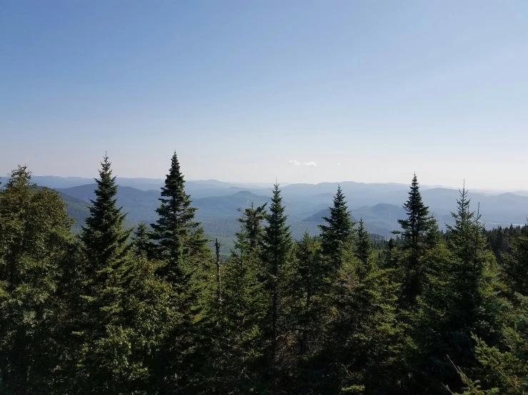 the view from a mountain slope with pine trees