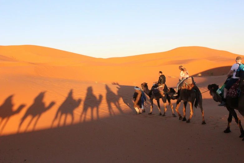 a couple of people on the backs of camels