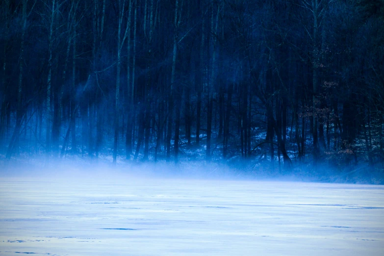 a lone red fire hydrant standing in front of some trees