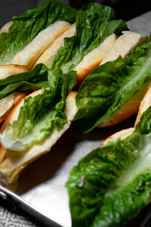 fresh leafy greens are stacked on a white plate