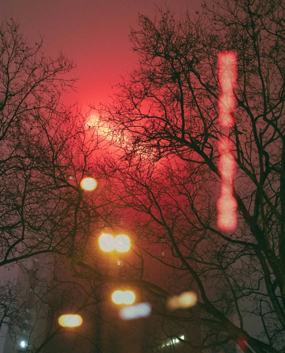 a dark city street with traffic lights and trees