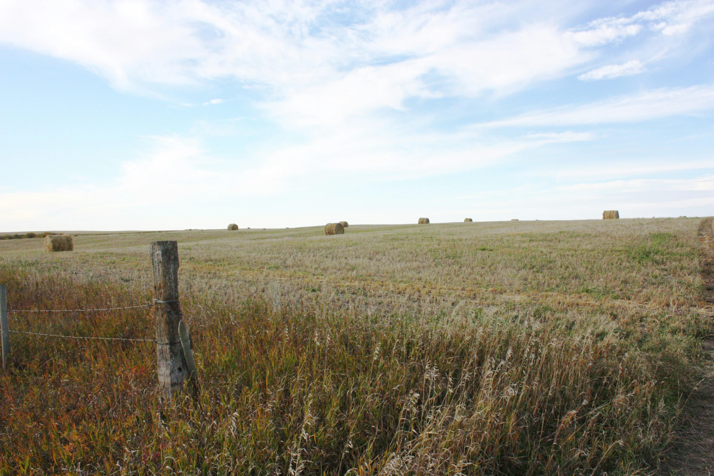 a farm field with bales in the distance