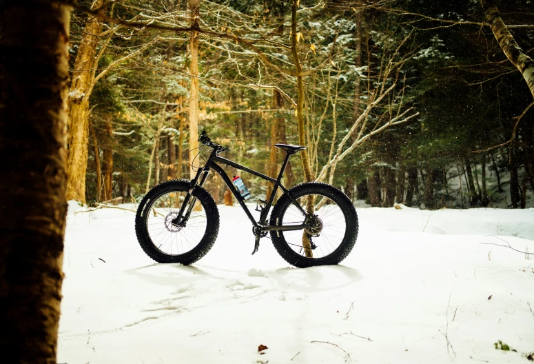 the bicycle is leaning against the tree in the snow