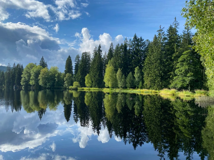 trees are on both sides of the water with the sky in the background