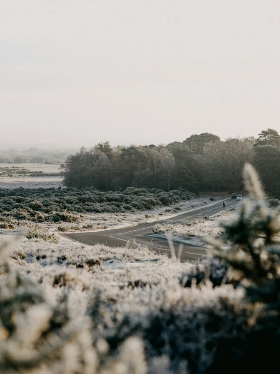 an image of a road on a snowy day