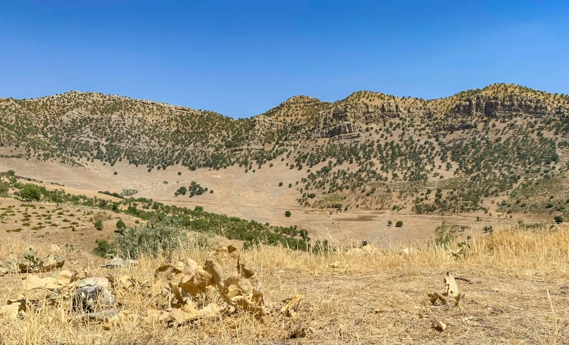 a view of the desert and mountains of joshua, joshua and chasney