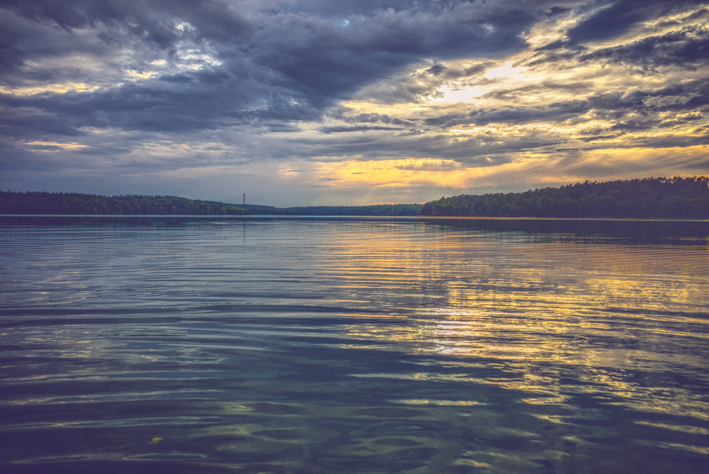 a large body of water sitting next to a forest