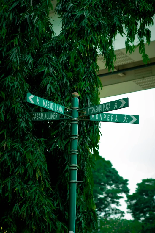street signs that point to different directions on one pole