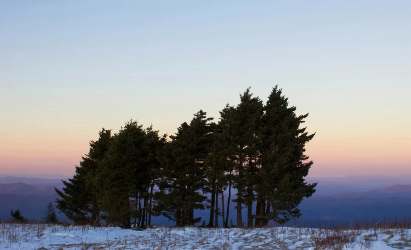 three trees in the middle of the snow covered mountains