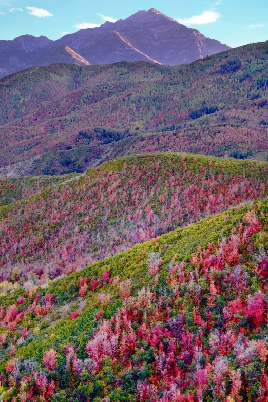 a view of a mountain range in the fall