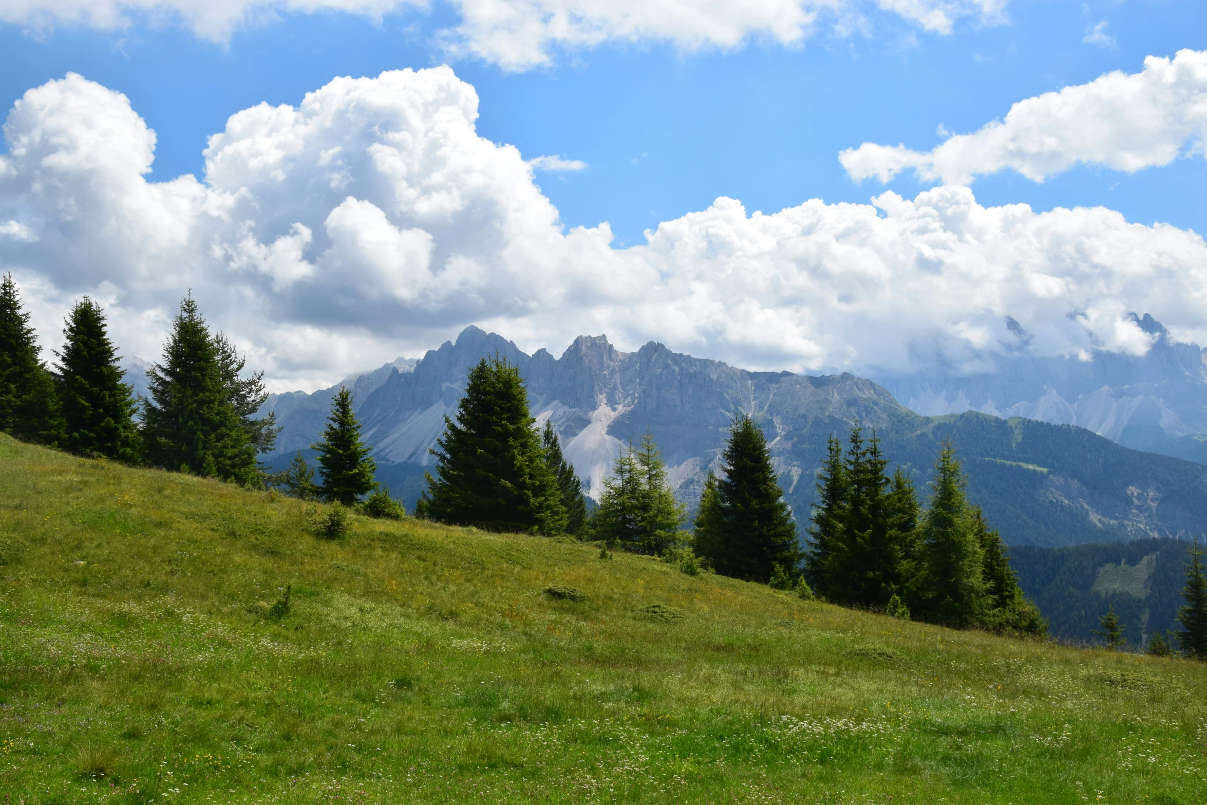 the mountain range has grass and trees, and a few bushes