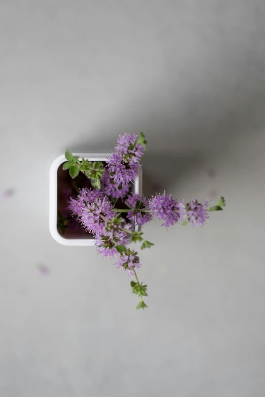 a small white dish is holding some small purple flowers