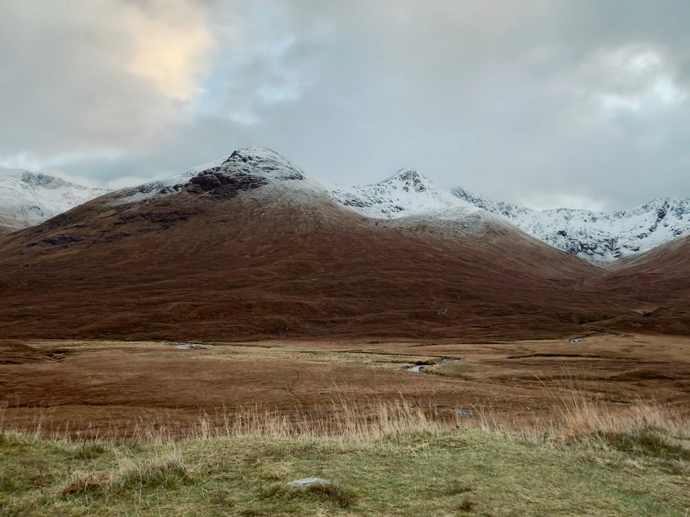 snow covered mountains, grass, and a field with two sheep on the grass