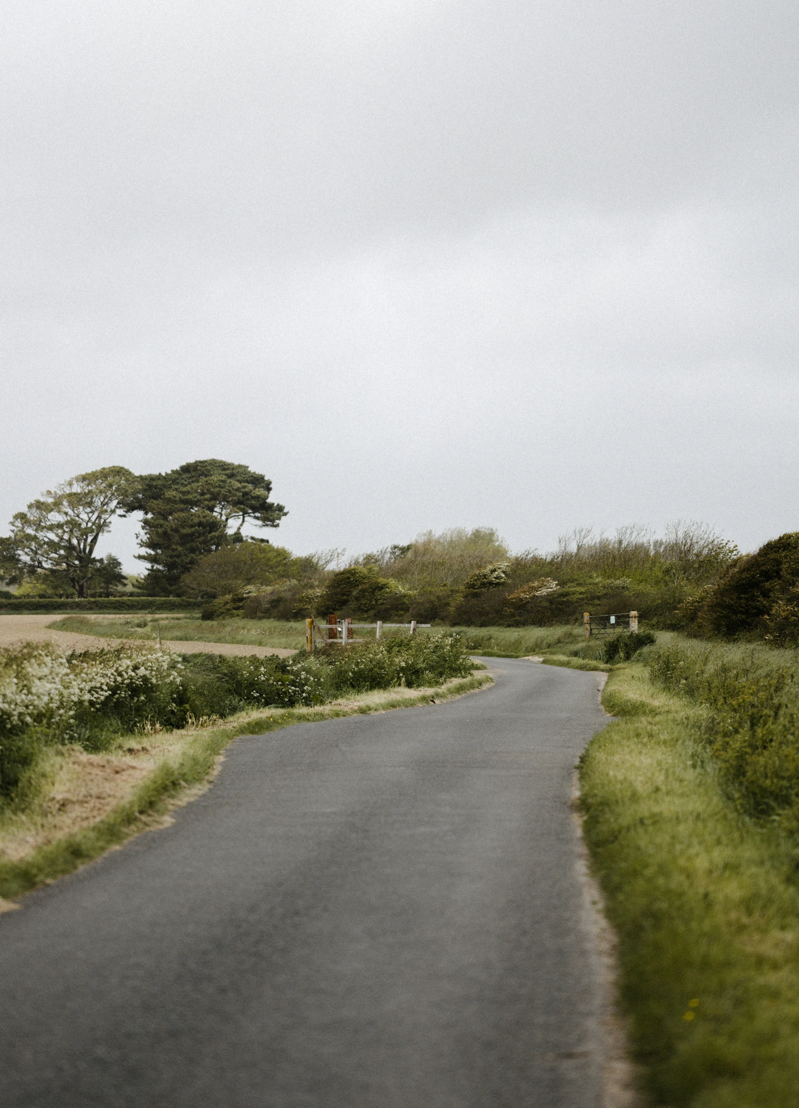 a paved road with trees in the background