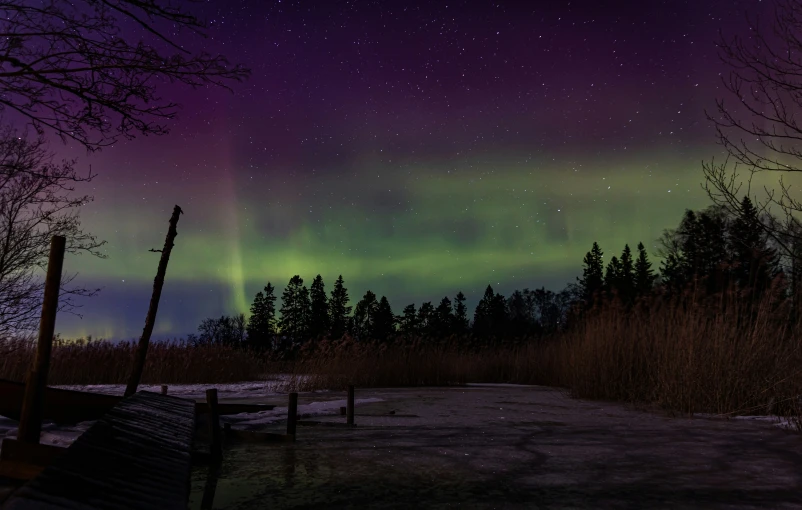 the aurora bore is illuminated over a snowy landscape