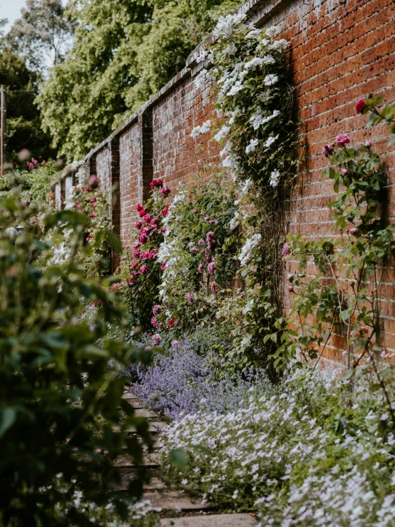 a brick wall near many different types of flowers