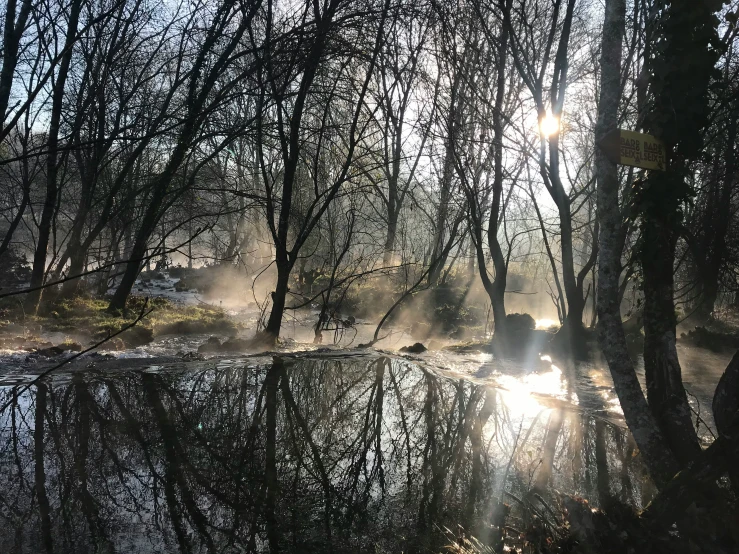 a vehicle driving through the fog and trees