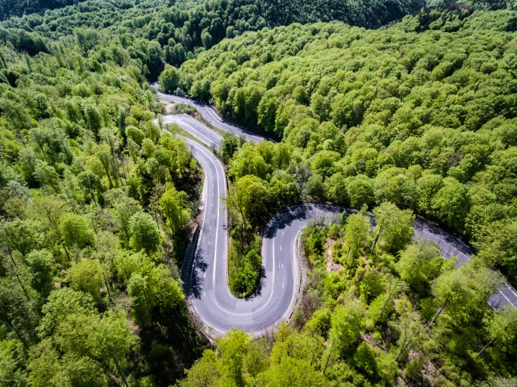 there is a long winding road in the middle of a forest