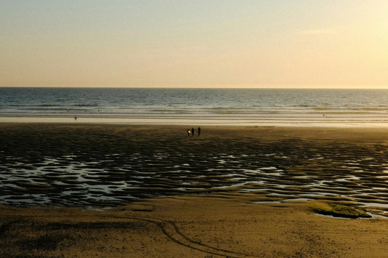 some people standing on a beach looking at the water