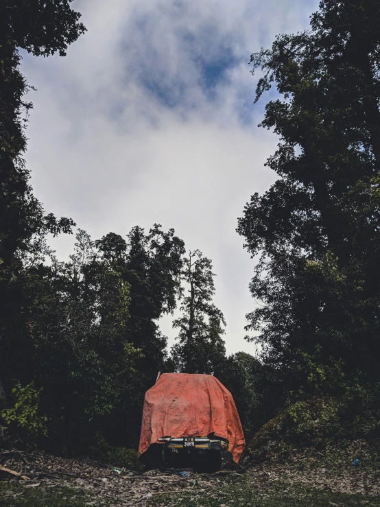 a covered van in a wooded area under a cloudy sky