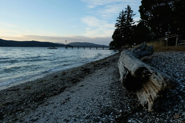 there is a wooden log sitting on the shore of a lake