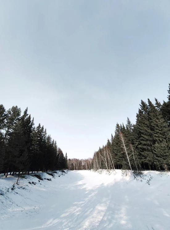 snow covered road surrounded by trees and some white clouds