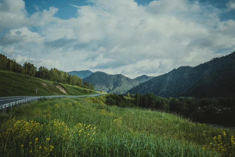 a road surrounded by lush green hills and yellow flowers