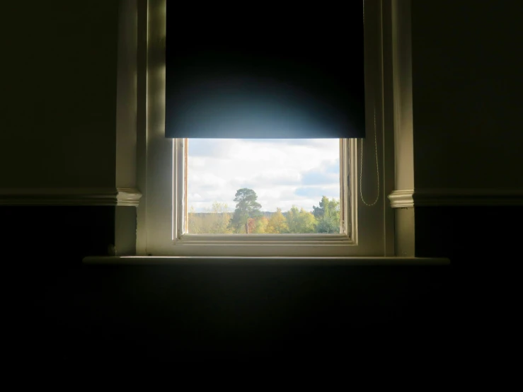 the view through a window showing trees outside