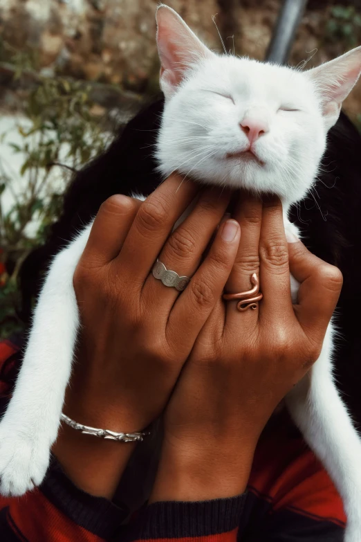 white cat sitting on the arm of a person with their hands around it