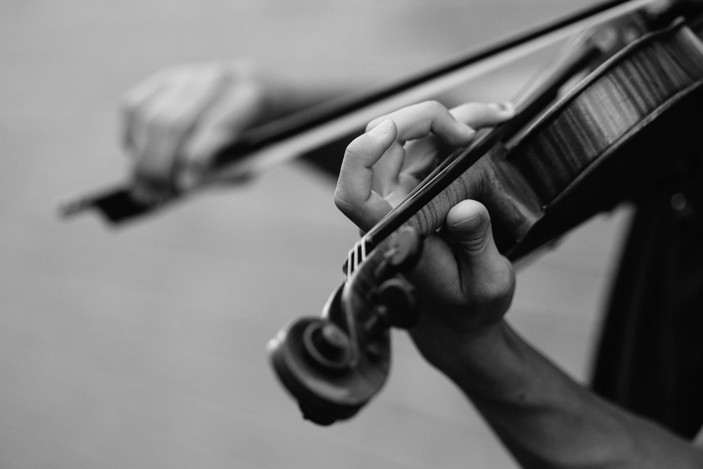 a person holding a violin up to the sky